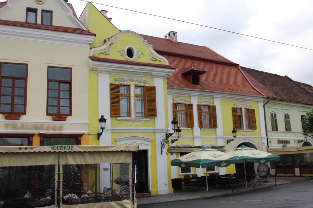 Ferdinand Apartments Mediaş Esterno foto