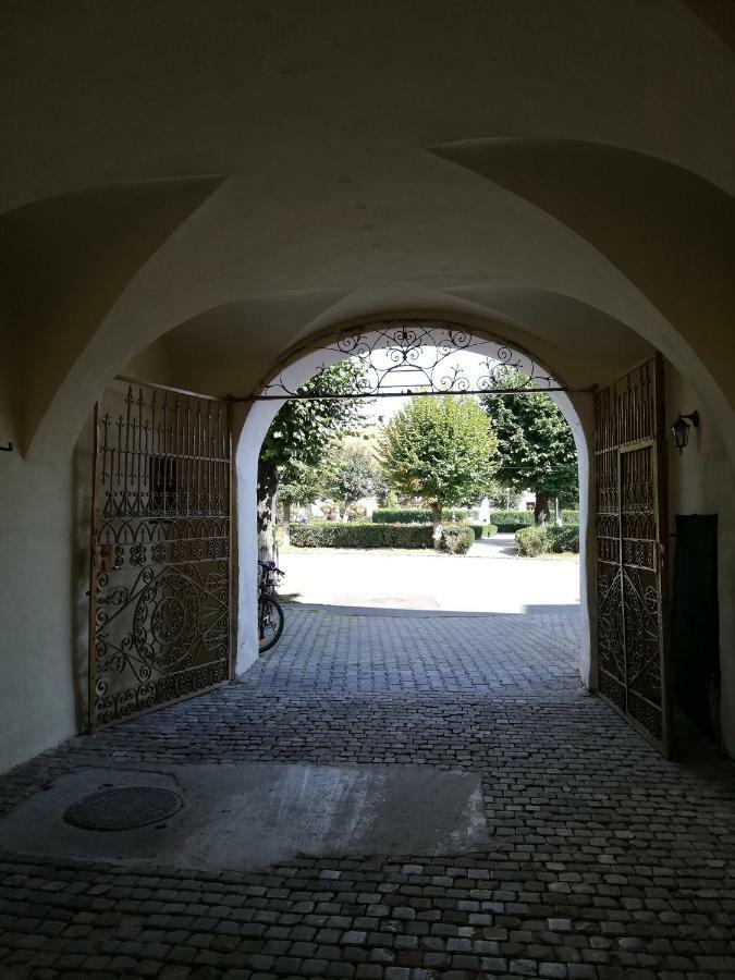 Ferdinand Apartments Mediaş Esterno foto
